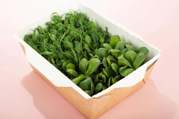 Microgreens em uma caixa de papel ecológico descartável de sementes de girassol. Ideia para um serviço de entrega de alimentos vegan saudável. publicidade verde microverde. Micro verdes em uma cesta em um fundo rosa — Fotografia de Stock