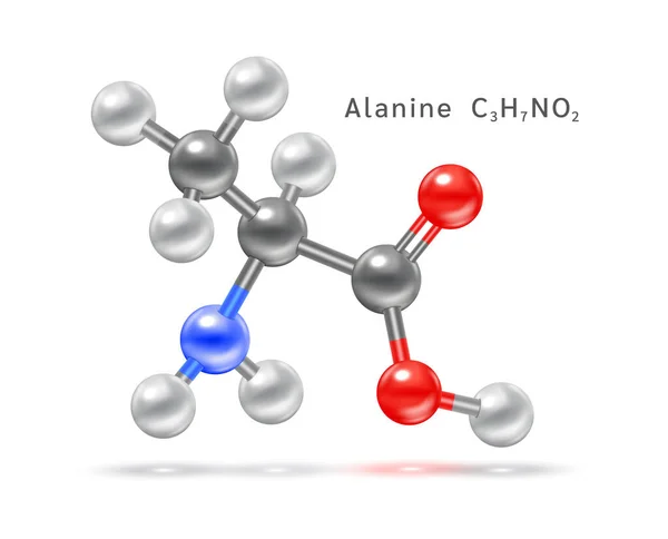 Estructura Del Símbolo Aminoácido Fórmula Química Estructural Modelo Molécula Alanina — Vector de stock