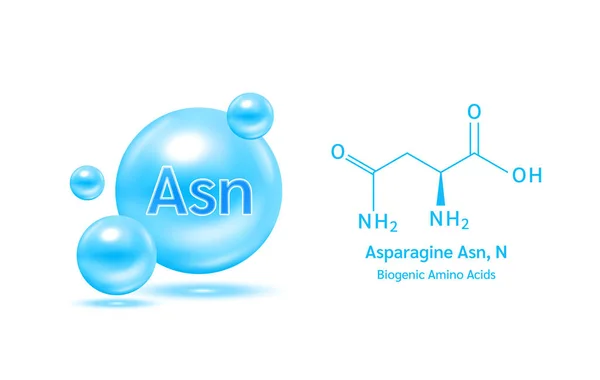 Aminoácido Importante Asparagina Fórmula Química Estructural Modelo Línea Molécula Azul — Vector de stock