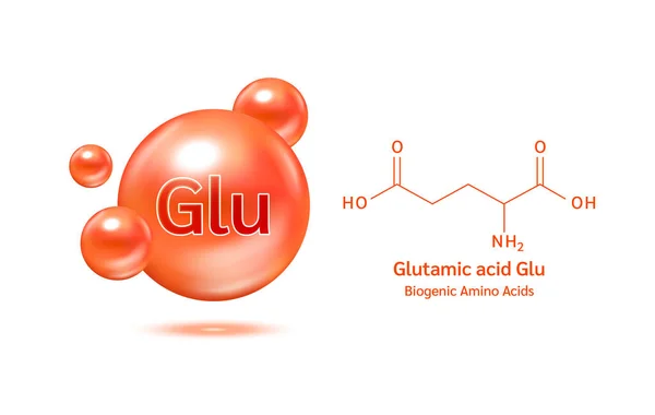 Aminoácido Importante Fórmula Química Glutámica Estructural Modelo Línea Molécula Naranja — Vector de stock