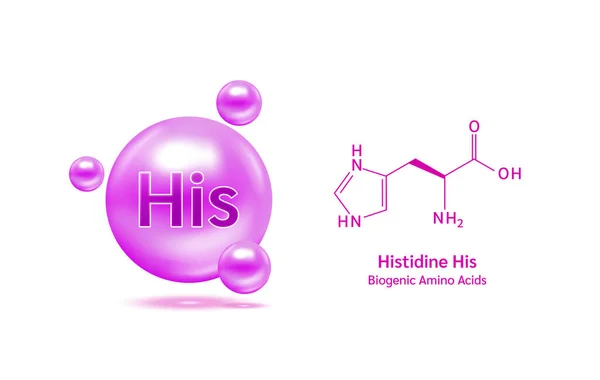 Aminoácido Importante Histidina Fórmula Química Estrutural Modelo Linha Molécula Histidina — Vetor de Stock