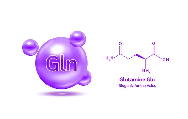 Aminoácido Importante Glutamina Fórmula Química Estructural Modelo Línea Molécula Glutamina — Vector de stock