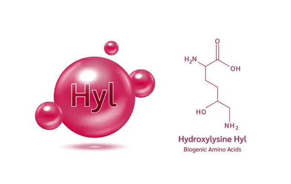 Aminoácido Importante Hidroxilisina Fórmula Química Estructural Modelo Línea Molécula Hidroxilysina — Vector de stock