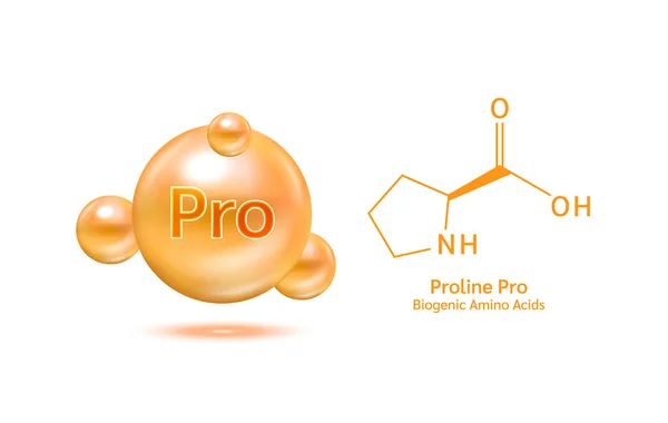 Aminoácido Importante Prolina Fórmula Química Estructural Modelo Línea Molécula Prolina — Vector de stock