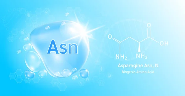 Gota Agua Aminoácido Importante Asparagina Fórmula Química Estructural Asparagine Sobre — Vector de stock