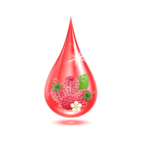 Framboesa Dentro Gotas Água Vermelho Brilhando Com Bolhas Oxigênio Isolado — Vetor de Stock