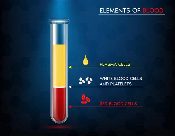 Elementos Sangue Sangue Vermelho Plasma Sangue Branco Plaquetas Num Tubo — Vetor de Stock