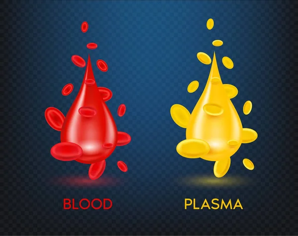 Konsep Struktur Ilmu Kedokteran Darah Merah Dan Plasma Kuning Sel - Stok Vektor