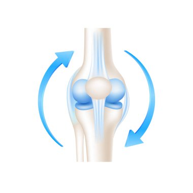 Beyaz arka planda izole edilmiş sağlıklı kemik ve dairesel mavi ok. Ürün şablon tasarımı. Tıbbi kavramlar. 3D Gerçekçi Vektör EPS10.
