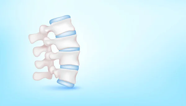 テキスト用のコピースペースと青の背景に健康な軟骨とバックボーンディスクの関節 骨の人間の骨格の解剖学 医療科学の概念 リアルな3Dベクトルイラスト — ストックベクタ