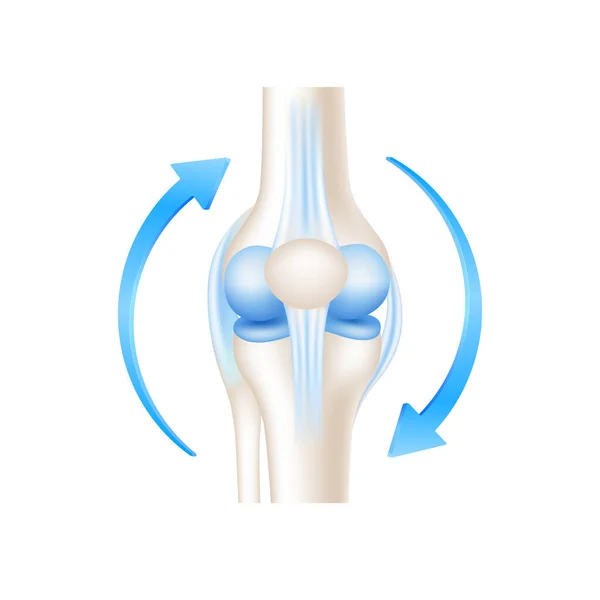 Beyaz arka planda izole edilmiş sağlıklı kemik ve dairesel mavi ok. Ürün şablon tasarımı. Tıbbi kavramlar. 3D Gerçekçi Vektör EPS10.