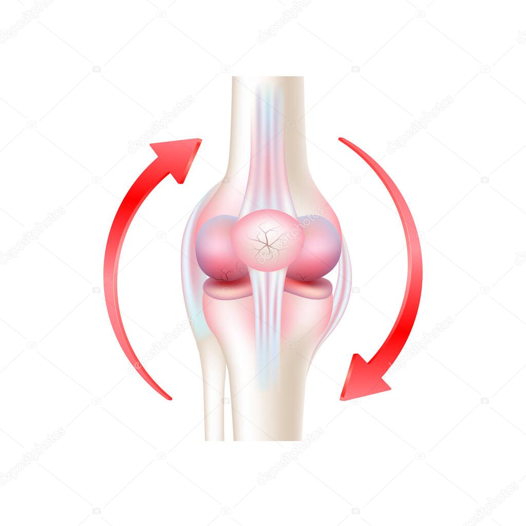 Arthritis bone and circular red arrow around isolated on white background. Products template design. Medical concepts. 3D Realistic Vector EPS10.