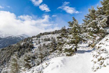 puerto de Navacerrada cubierto de nieve en la sierra de Guadarrama de Madrid