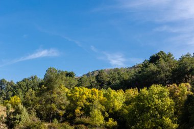 Robledo de Chavela, Madrid 'deki Cofio nehrinin ilk sonbahar renkleri