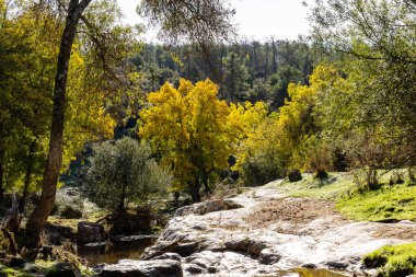 Robledo de Chavela, Madrid 'deki Cofio nehrinin ilk sonbahar renkleri