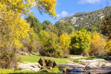 Robledo de Chavela, Madrid 'deki Cofio nehrinin ilk sonbahar renkleri