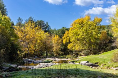 Robledo de Chavela, Madrid 'deki Cofio nehrinin ilk sonbahar renkleri