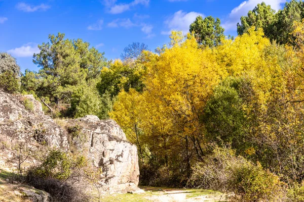 Πρώτη Χρώματα Φθινόπωρο Στις Όχθες Του Ποταμού Cofio Στο Robledo — Φωτογραφία Αρχείου