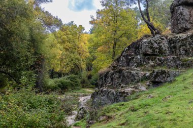 Robledo de Chavela, Madrid 'deki Cofio nehrinin ilk sonbahar renkleri