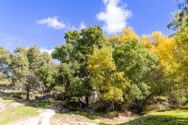 Robledo de Chavela, Madrid 'deki Cofio nehrinin ilk sonbahar renkleri