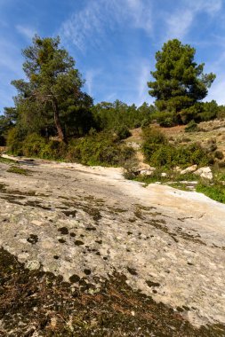 Robledo de Chavela, Madrid 'deki Cofio nehrinin ilk sonbahar renkleri
