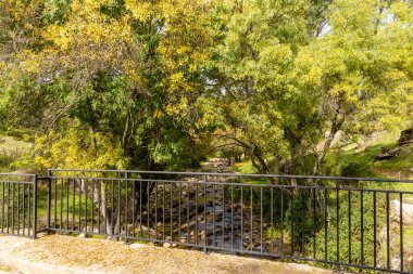 Robledo de Chavela, Madrid 'deki Cofio nehrinin ilk sonbahar renkleri
