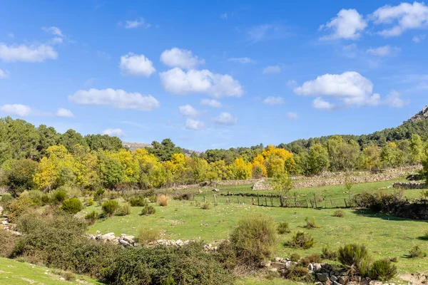 Första Höstfärger Stranden Floden Cofio Robledo Chavela Madrid — Stockfoto