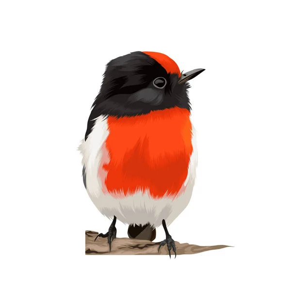 Bella Illustrazione Vettore Uccello — Vettoriale Stock