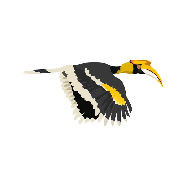 Grote Hoornsnavel Vogel Vector Illustratie — Stockvector