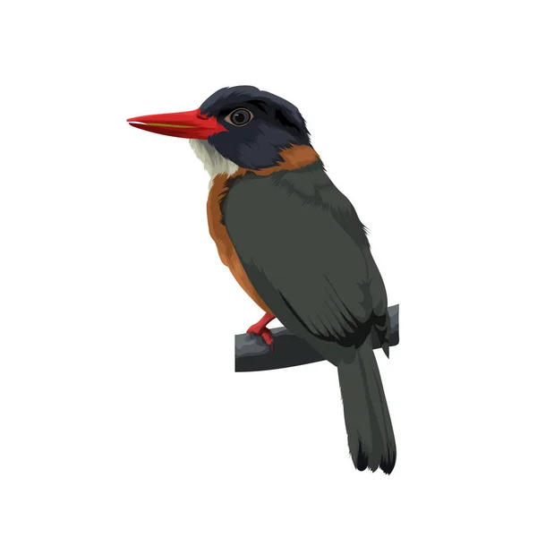 Groen Back Ijsvogel Vogel Vector Illustratie — Stockvector