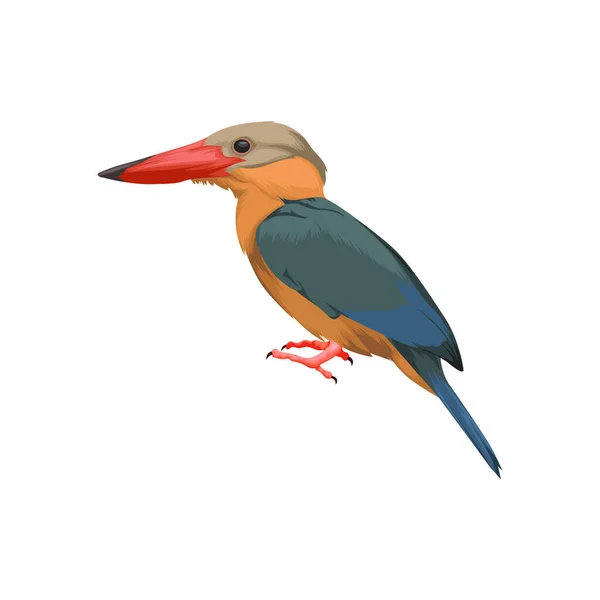 Ooievaarsijsvogel Vector — Stockvector