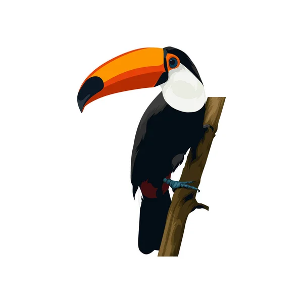 Toucan Bird Vector — стоковый вектор