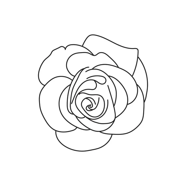 Lina Art Rose Fleur — Image vectorielle
