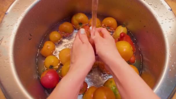 Close Young Woman Washes Ripe Red Orange Tomatoes Tap Water — Vídeo de stock