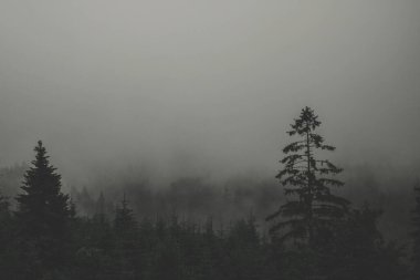 Dağ sırası olan güzel bir manzara.