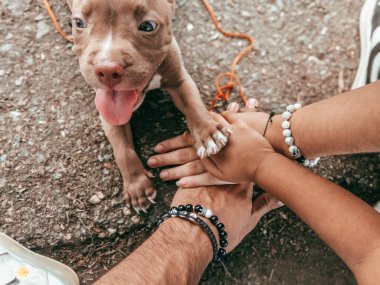 Köpekli genç bir kadının yakın plan portresi.