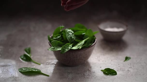 Vídeo Cámara Lenta Sal Gruesa Cayendo Sobre Hojas Espinacas Recién — Vídeos de Stock