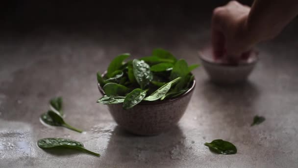 시금치 소금이 떨어지는 비디오 그릇에 녹색의 잎입니다 식생활 방식의 — 비디오