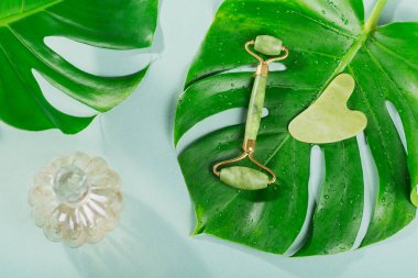 Masaj masörü, iki kafalı ve açık mavi arka planda yeşil taştan bir kazıyıcı. Güzellik yüz masajı terapisi, SPA kişisel bakım konsepti.