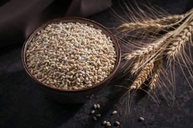 Koyu arka planda bir kase çiğ inci arpa gevreği. İnci arpa lapası pişirme kavramı.