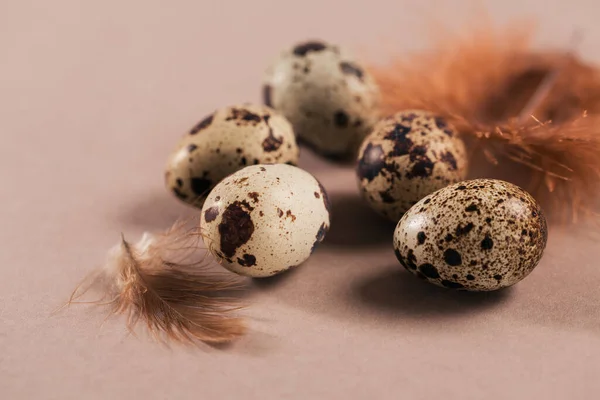 Kurczak Brązowe Jaja Beżowym Twórczym Minimalnym Tle — Zdjęcie stockowe