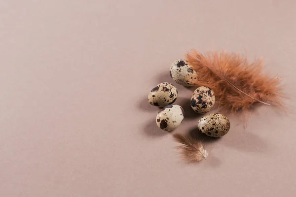 Tło wielkanocne z naturalnym kolorem jaj i brązowych piór — Zdjęcie stockowe
