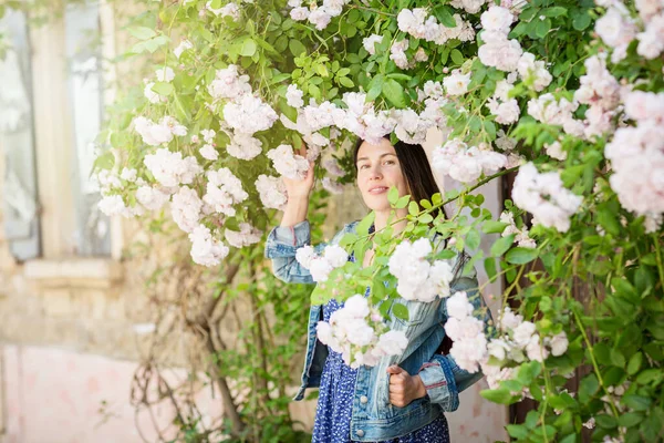 Eski bir kasabada sokakta oturan, mavi elbise ve kot ceket giyen beyaz güllerin çiçeklerine dokunan genç bir kadının hayat tarzı portresi.