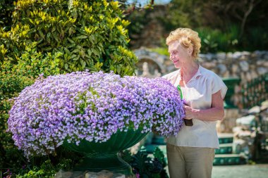Elderly woman standing near a large flower pot with purple flowers and caring for plants