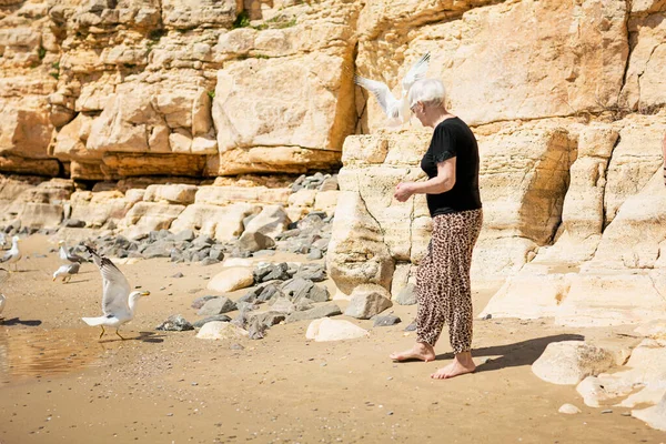 Senior Woman Dark Sunglasses Feeds Seagulls Rocky Beach Happy Life — 스톡 사진