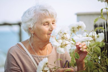 Yaşlı kadın renkli güllerle güzel çalılara hayran. Büyük hanım şehirde gezintiye çıkmış, çiçekleri inceliyor.