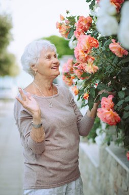 Yaşlı kadın renkli güllerle güzel çalılara hayran. Büyük hanım şehirde gezintiye çıkmış, çiçekleri inceliyor.