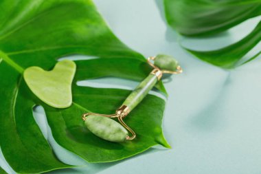 Yeşil yeşim yüzlü silindir ve açık mavi arka planda yaprakları olan gua sha kazıyıcı. Yüz bakımı, spa benliği ve güzellik tedavi konsepti için masaj aracı.