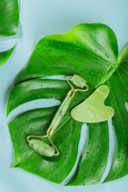 Yeşil yeşim yüzlü silindir ve açık mavi arka planda yaprakları olan gua sha kazıyıcı. Yüz bakımı, spa benliği ve güzellik tedavi konsepti için masaj aracı.