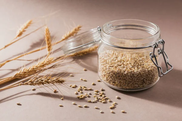 Glass jar of dry raw broken pearl barley cereal grain on beige background. Cooking pearl barley porridge concept.